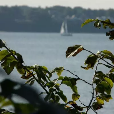 Partnerskie wizyty w duńskich placówkach