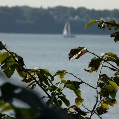 P1160866
